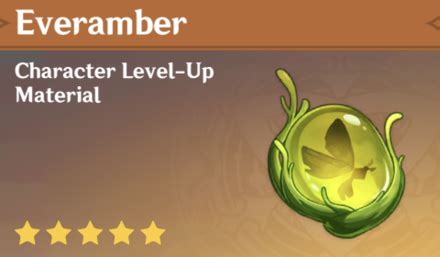 everamber|Genshin Impact Everamber Location & How to Use